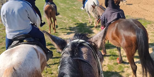 MTFSZ T\u00e1j\u00e9koz\u00f3d\u00e1si Lovas Bajnoks\u00e1g II. Fordul\u00f3 - MECSEK