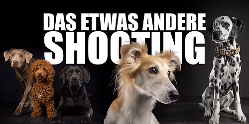 Das etwas andere Tierfotoshooting im Fressnapf Essen-Borbeck