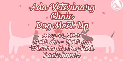 \ud83d\udc3e Ada Veterinary Clinic Monthly Dog Meet-Ups \ud83d\udc3e May | Dachshunds \ud83d\udc36 | 
