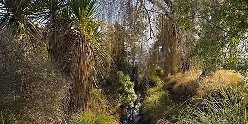 Walk the Talk - MacFarlane Park, Shirley