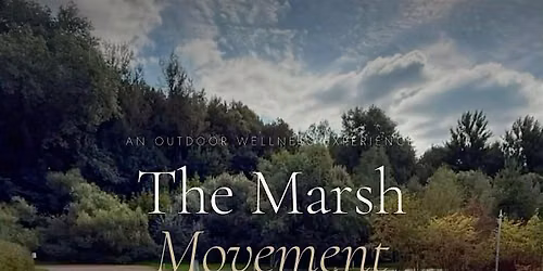 Movement on the Marsh