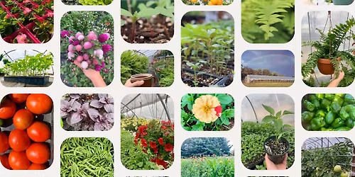 Spring Plant Sale @ Plum Bum Farm