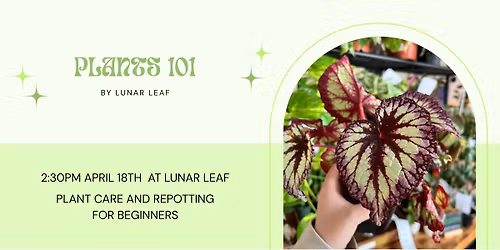 Repotting and Plants 101 by Lunar Leaf