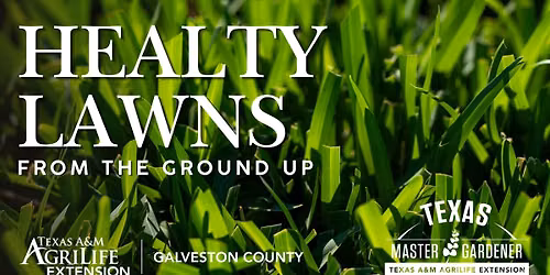 Healthy Lawns - From the Ground Up