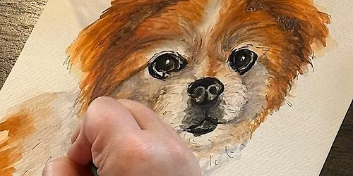 Social Series: Pet Portrait Watercolors with Alexandra Schmeling
