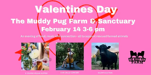Valentines Day On The Muddy Pug Farm & Sanctuary