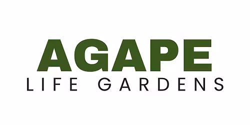 Grocery Bag Giveaway