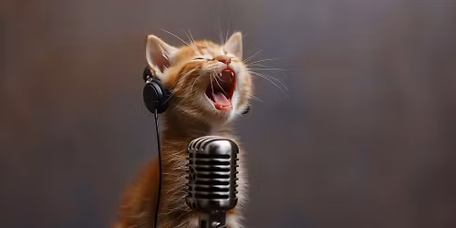 Open Mic Night @ Persnickety Books