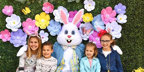 Easter Bunny Pictures