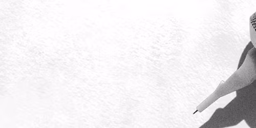 Knoxville Tattoo Convention