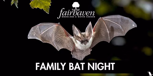 Family Bat Night