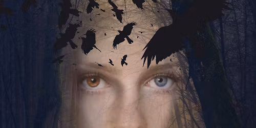 The Forest through the Trees 