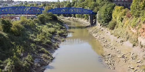 Avon Riversides 2100 Monthly Walkabout - St. Philip's Marsh and Feeder Road