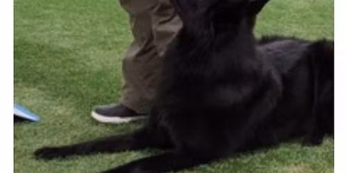 Ep\u00e4viralliset rally-toko kilpailut