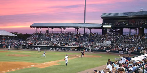 Hill City Howlers at Charleston RiverDogs at Joseph P. Riley Jr. Park