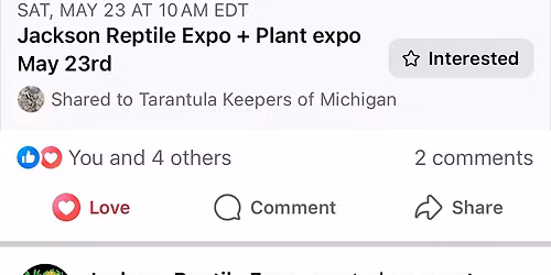 Jackson Reptile Expo