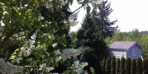 Cloverdale Rodeo Parae