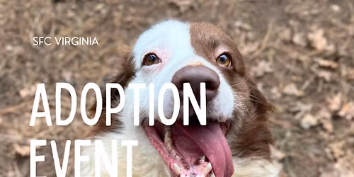 3\/21 Adoption Event at Tales & Tails Bookstore and Cafe