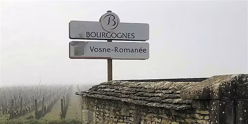 Exploring the Wines of Burgundy