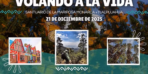 Volando a la Vida (Santuario de la Mariposa Monarca + Tlalpujahua)