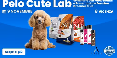 Seminario Pelo Cute Lab