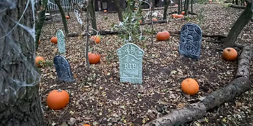 Nighttime Spooktacular - Exotic Boo at the Zoo