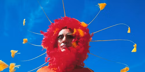 \u00d8RKENDRONNINGEN PRISCILLA \/\/ Cinemateket i Biffen