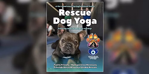 Rescue Dog Yoga at The Laundromutt (Springfield Event Center)