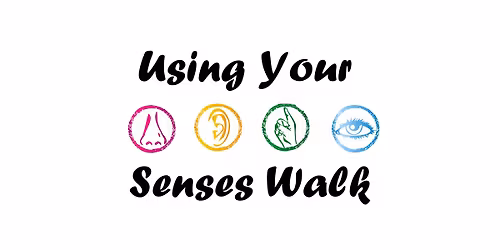 Using Your Senses- Guided Nature Walk @ Flesher Field Park