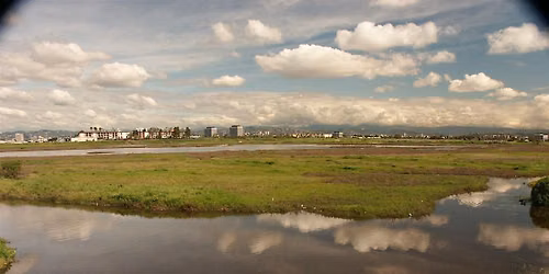 Ballona Wetlands Ecological Preserve -> Nature Hike\/Tour-FREE EVENT!!!