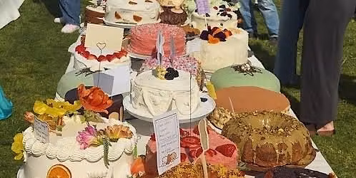 San Angelo's 1st Annual Cake Picnic