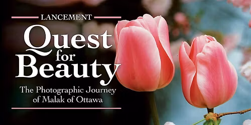 Lancement : Quest for Beauty