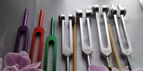 Introduction to tuning forks workshop