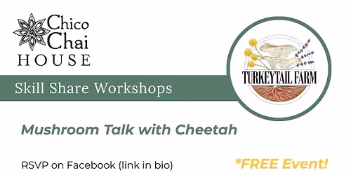 Skill Share Workshop: Mushroom Talk with Cheetah *FREE*