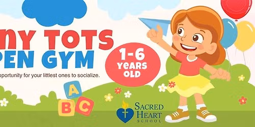 Tiny Tots Open Gym 