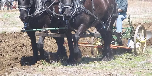 Wilbraham Community Garden Plow Day Event
