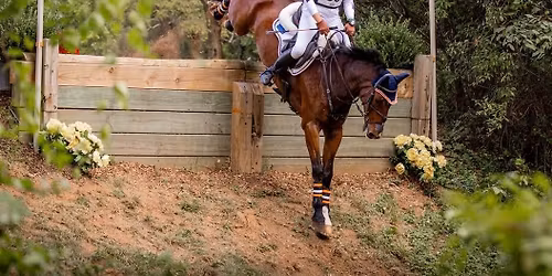 Sharon White Clinic - Summer