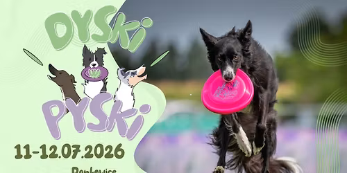 Dyski w Pyski- zawody dogfrisbee 