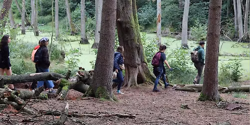 Fairytale Forest: Hike through the Mystical Landscape of Briesetal