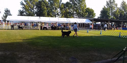 2026 SCVKC 4-Day August Dog Show Cluster