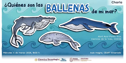 Charla "\u00bfQui\u00e9nes son las ballenas de mi mar?"