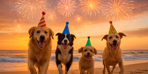 Oudejaarswandeling 2025