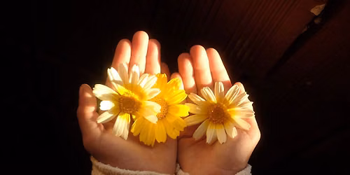 Reiki 