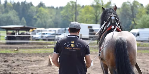 Kvalifikace na Mistrostv\u00ed \u010cesk\u00e9 republiky chladnokrevn\u00fdch kon\u00ed