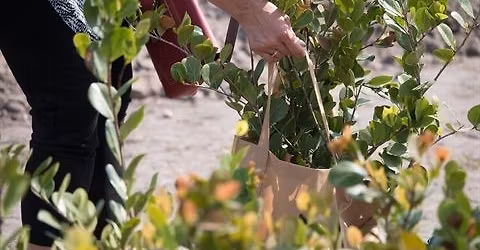 Coral Springs Earthfest Celebrates Earth Day & Arbor Day