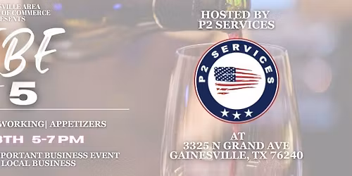 VIBE at 5 Hosted by P2 Services