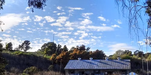 30th San Francisco Bay Flyway Festival Go Wildly Live Outdoors