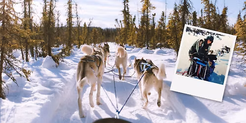 Mush! with Sophia the Sled Dog