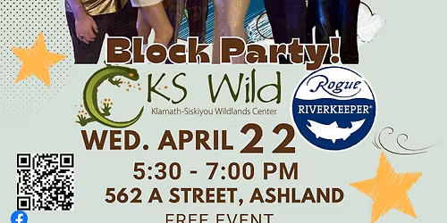 The Pozitronics play Earth Day A Street Block Party!