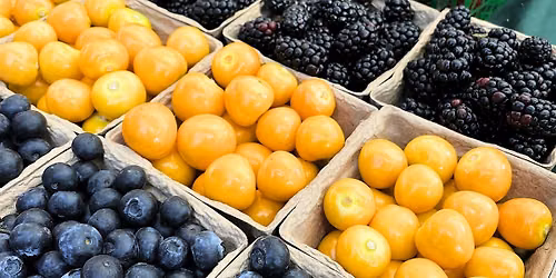 Hawthorne Certified Farmers' Market on Sundays